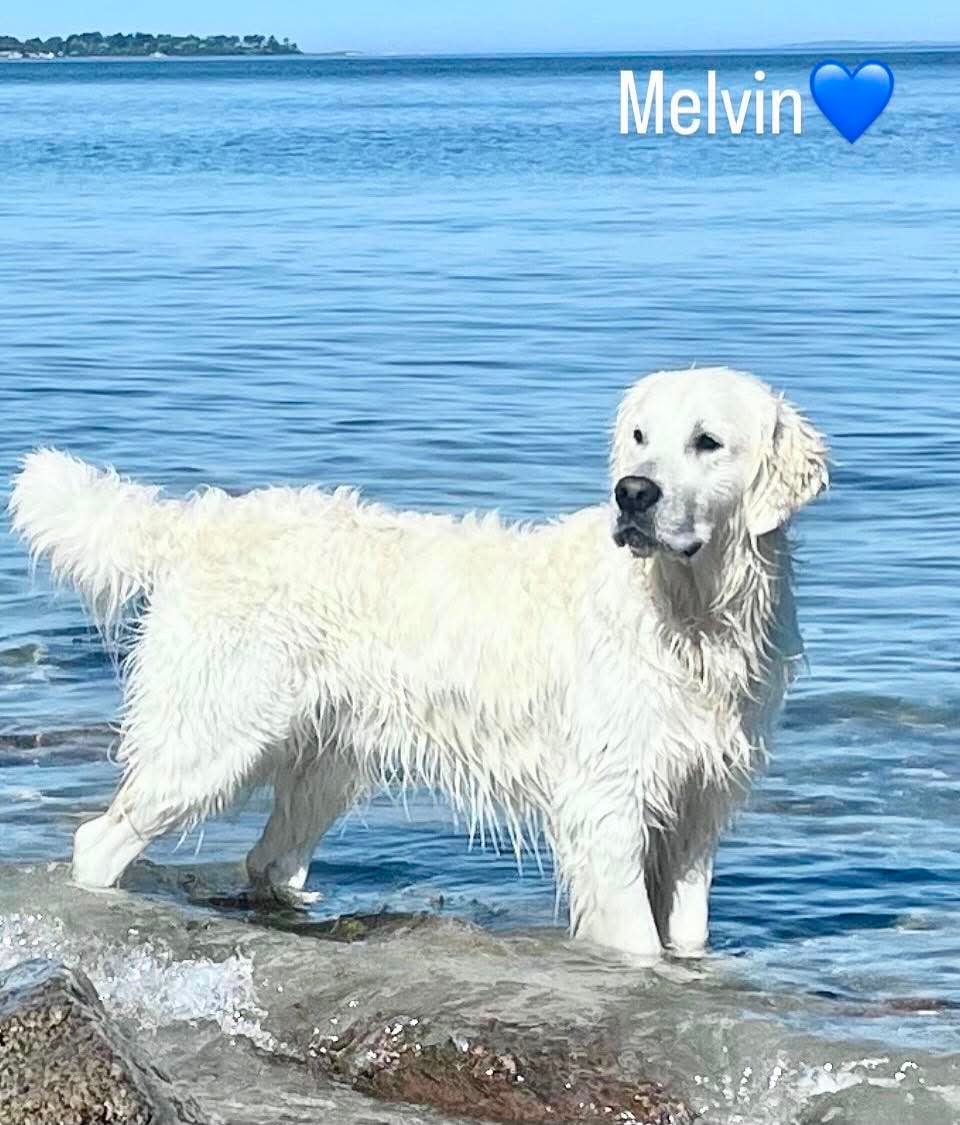 Far Melvin